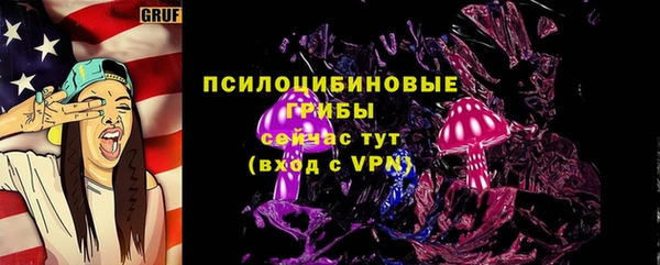 не бодяженный Арсеньев