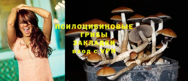 круглые Аркадак