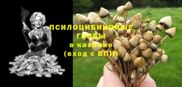 круглые Аркадак